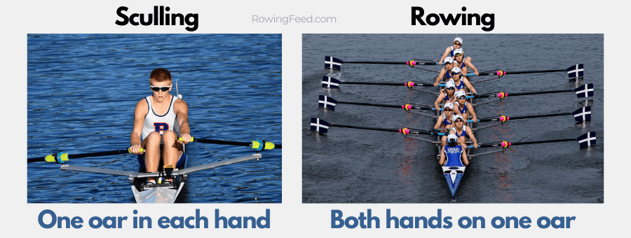 sculling vs rowing difference