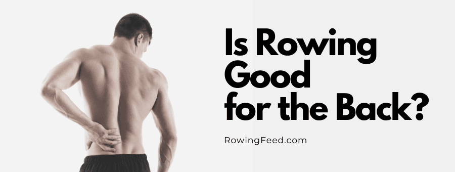 rowing for back muscles
